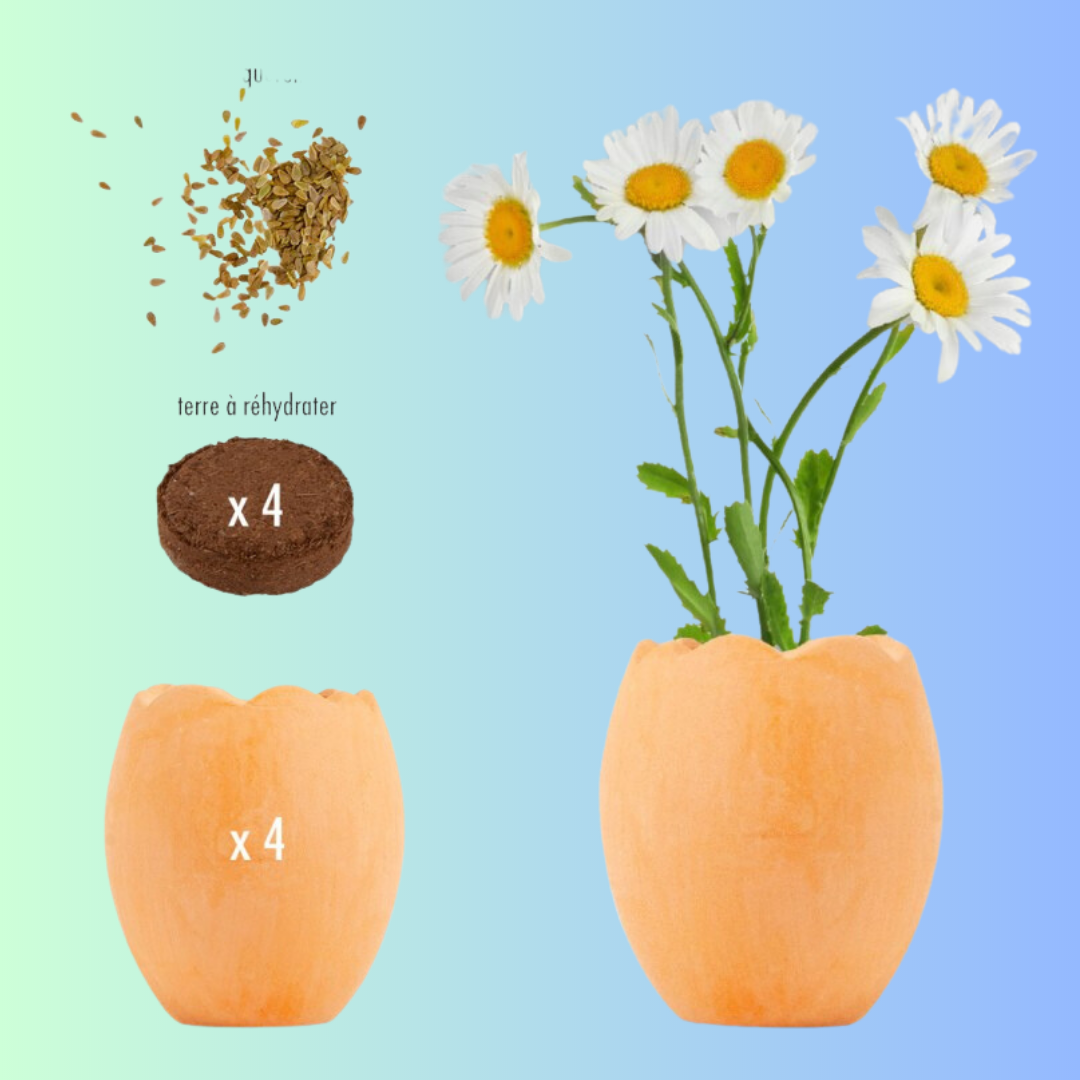 Trouver des cadeaux pour pâques de la marque Radis et Capucine