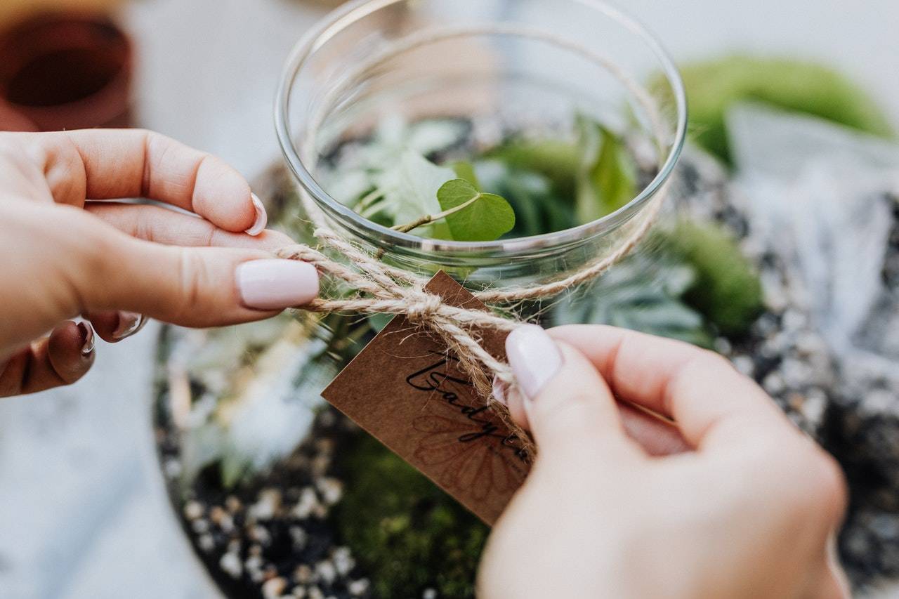 Sélection de terrariums déco et mini-jardins de verre en vente au Havre